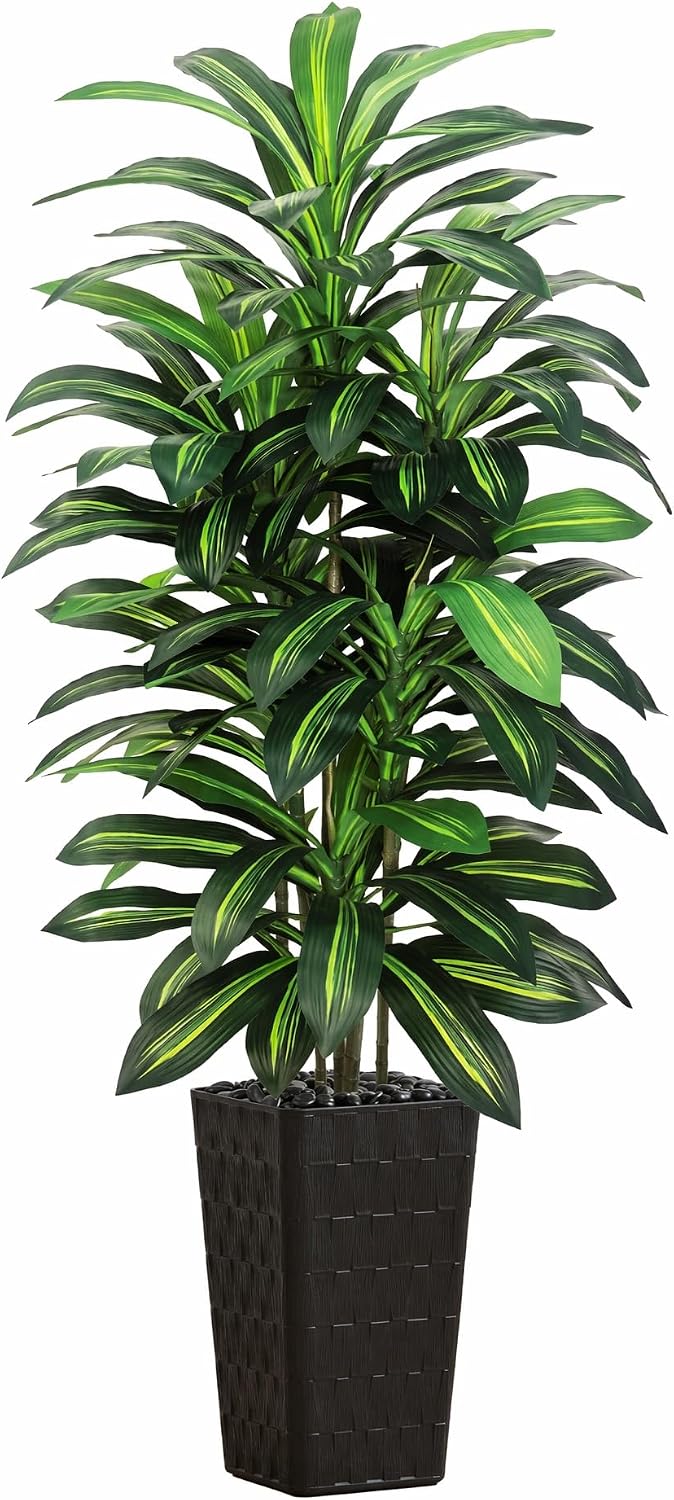 Greengris 6ft Artificial Dracaena Tree, Decorative Use