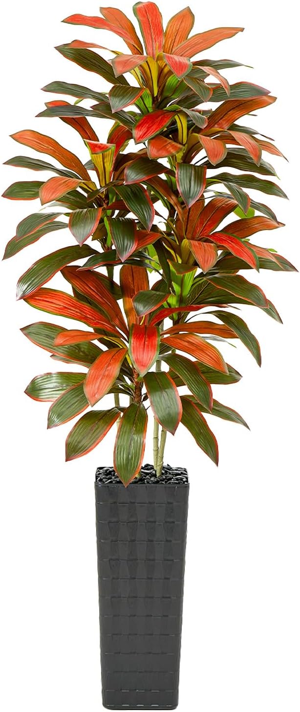 Greengris 6ft Artificial Dracaena Tree, Decorative Use