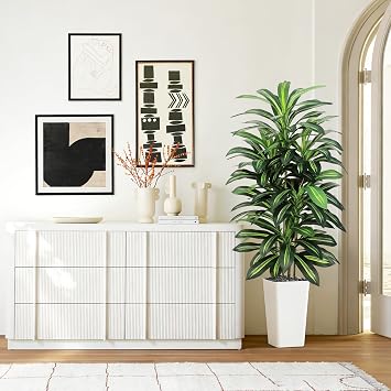 Greengris 6ft Artificial Dracaena Tree, Decorative Use