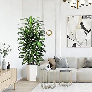 Greengris 6ft Artificial Dracaena Tree, Decorative Use
