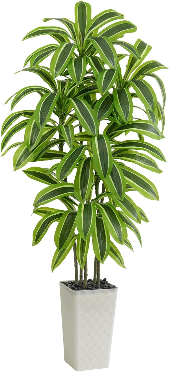 Greengris 6ft Artificial Dracaena Tree with White Planter, Faux Silk Yucca Floor Plant for Home Office Bedroom Decor