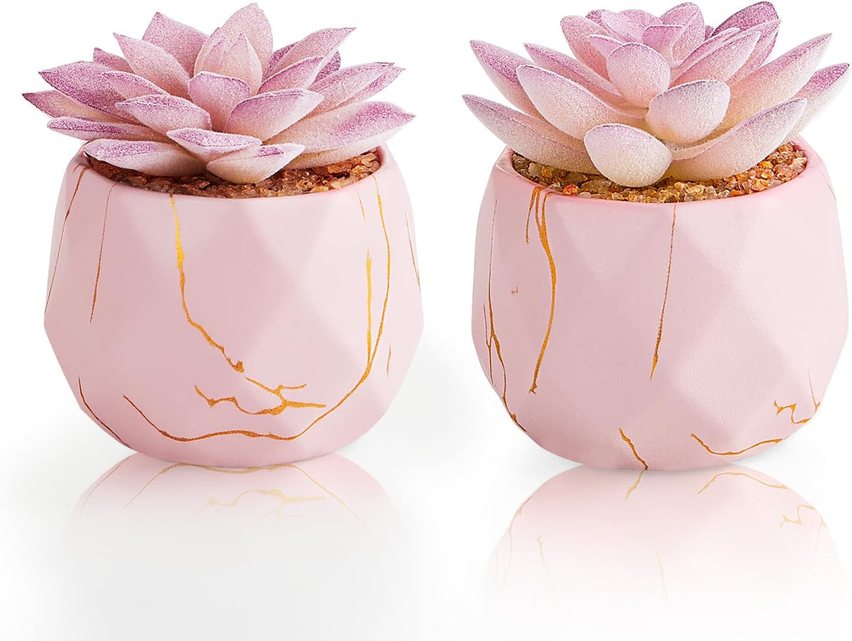 Greengris Artificial Succulent Plants in Ceramic Pots, Desk Decor