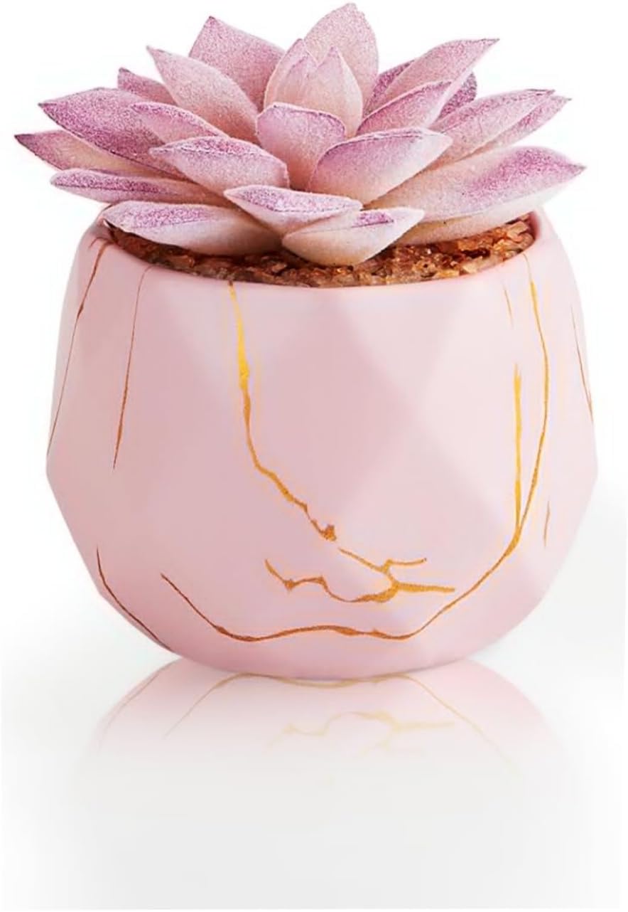 Greengris Artificial Succulent Plants in Ceramic Pots, Desk Decor