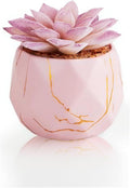 Greengris Artificial Succulent Plants in Ceramic Pots, Desk Decor