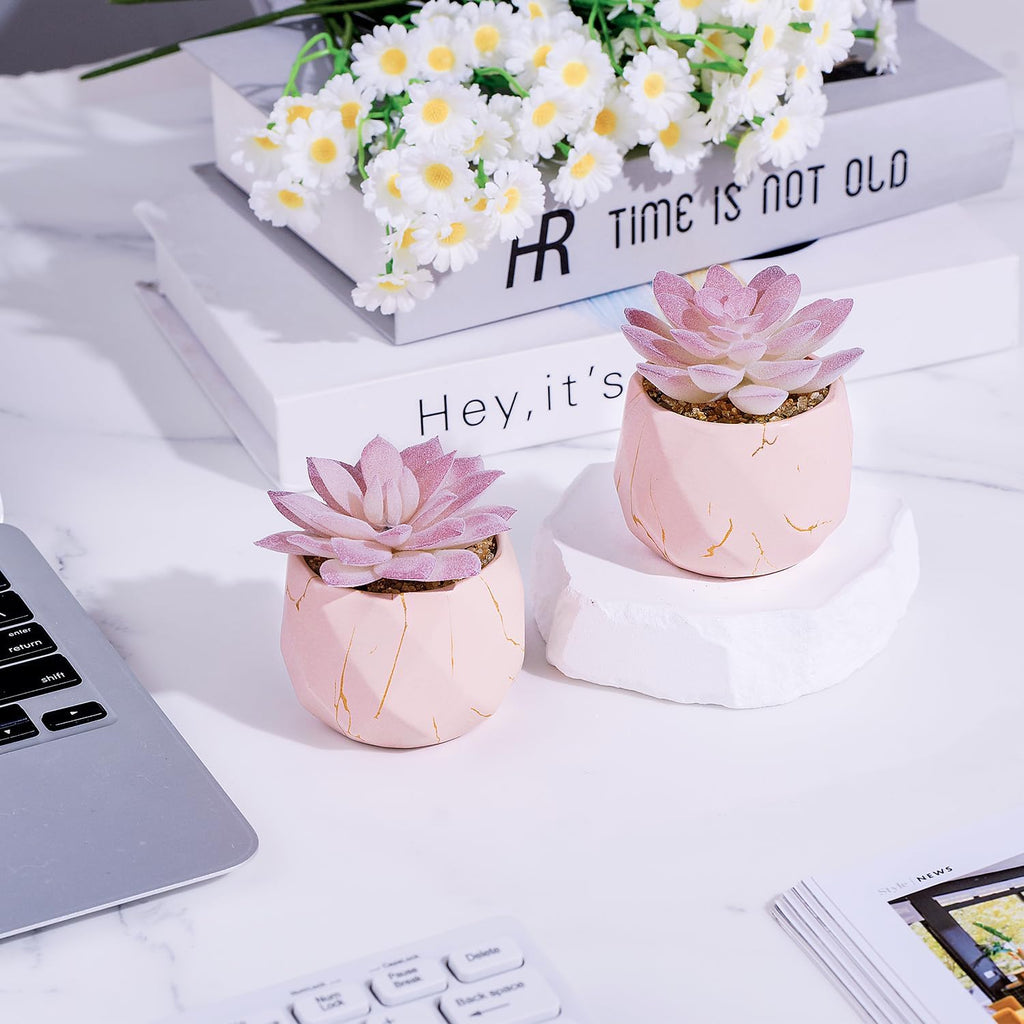 Greengris Artificial Succulent Plants in Ceramic Pots, Desk Decor