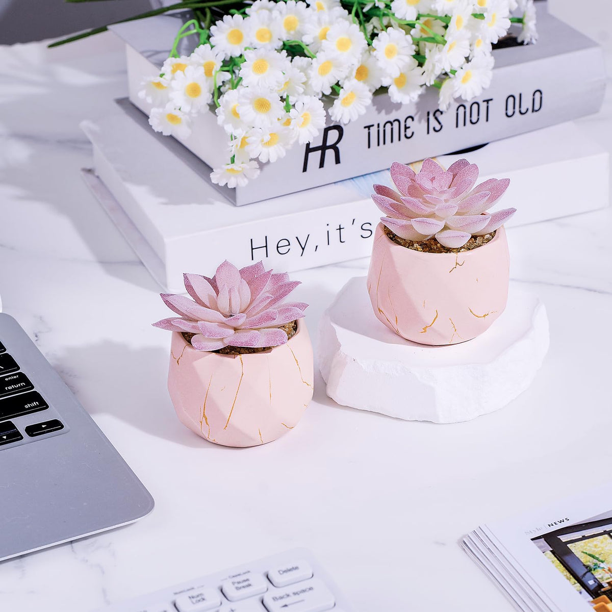 Greengris Artificial Succulent Plants in Ceramic Pots, Desk Decor