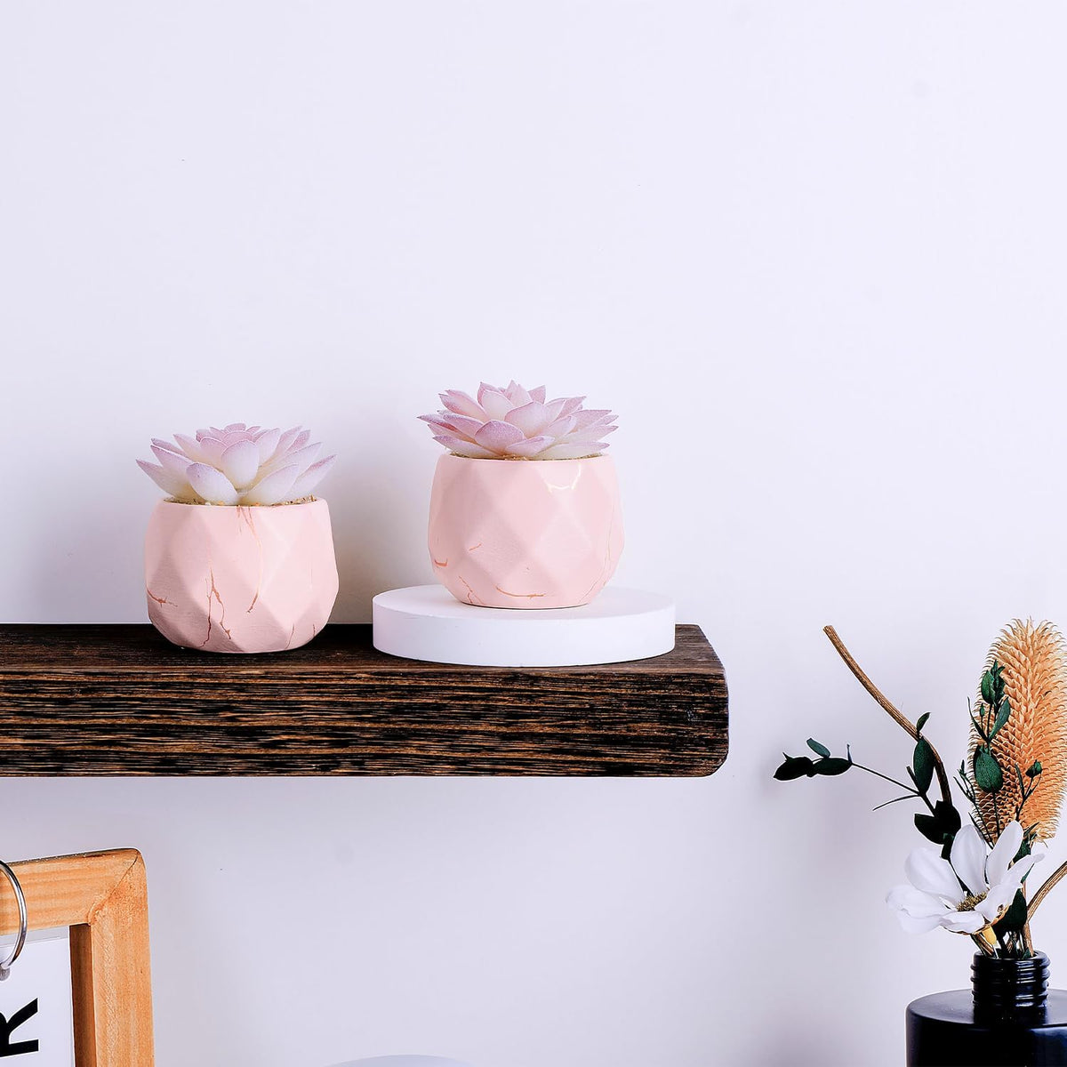 Greengris Artificial Succulent Plants in Ceramic Pots, Desk Decor
