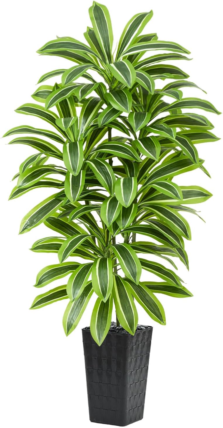Greengris 6ft Artificial Dracaena Tree with White Planter, Faux Silk Yucca Floor Plant for Home Office Bedroom Decor