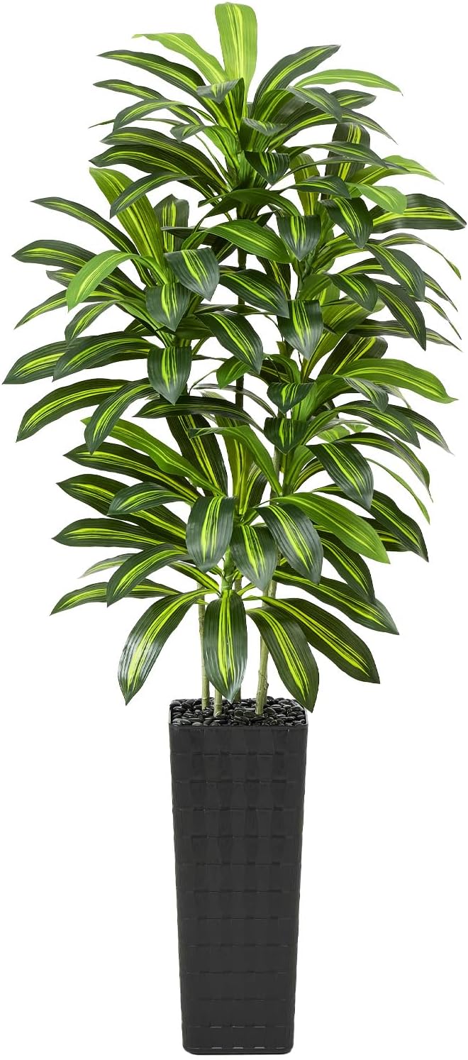 Greengris 6ft Artificial Dracaena Tree with White Planter, Faux Silk Yucca Floor Plant for Home Office Bedroom Decor