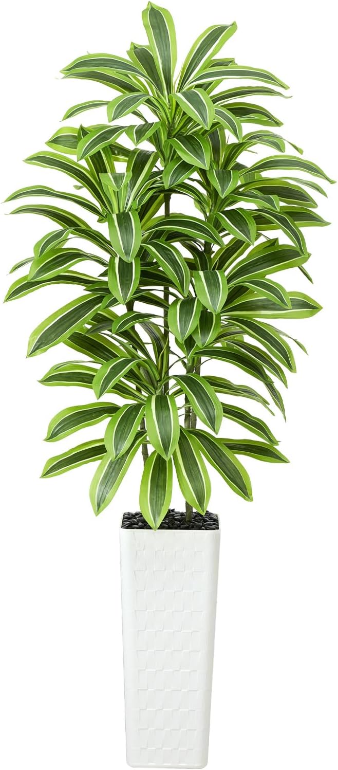 Greengris 6ft Artificial Dracaena Tree with White Planter, Faux Silk Yucca Floor Plant for Home Office Bedroom Decor