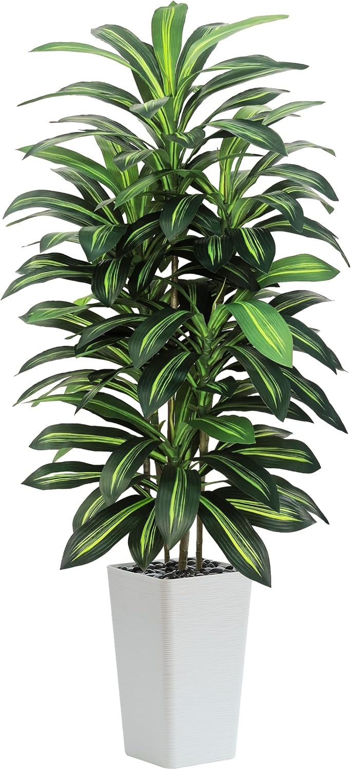 Greengris 6ft Artificial Dracaena Tree with White Planter, Faux Silk Yucca Floor Plant for Home Office Bedroom Decor
